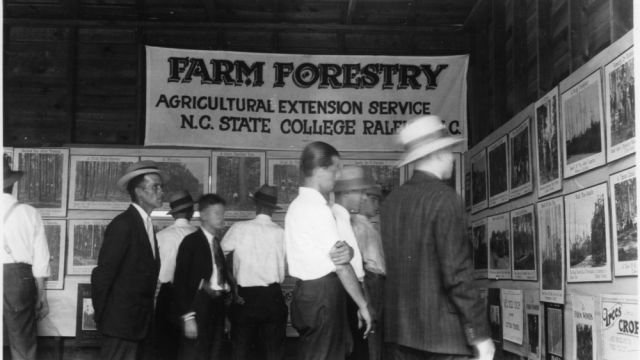 An exhibit of Farm Forestry Extension photographs from the 1920s