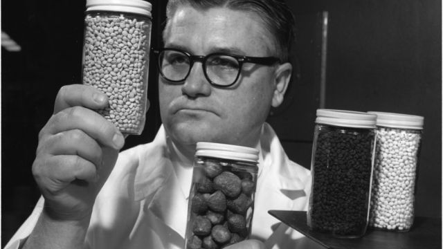 Dr. Maurice W. Hoover with his freeze-dried fruit pellets, 1966.
