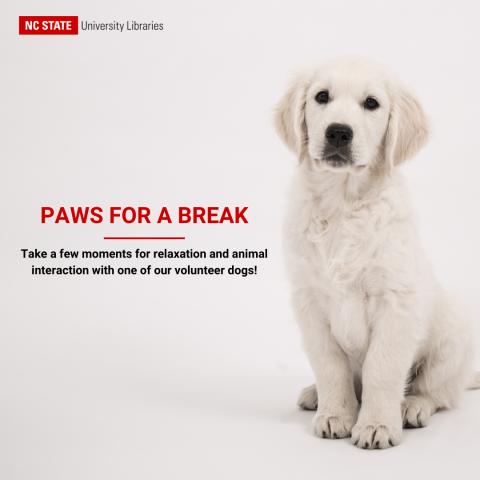 paws for a break promo pic