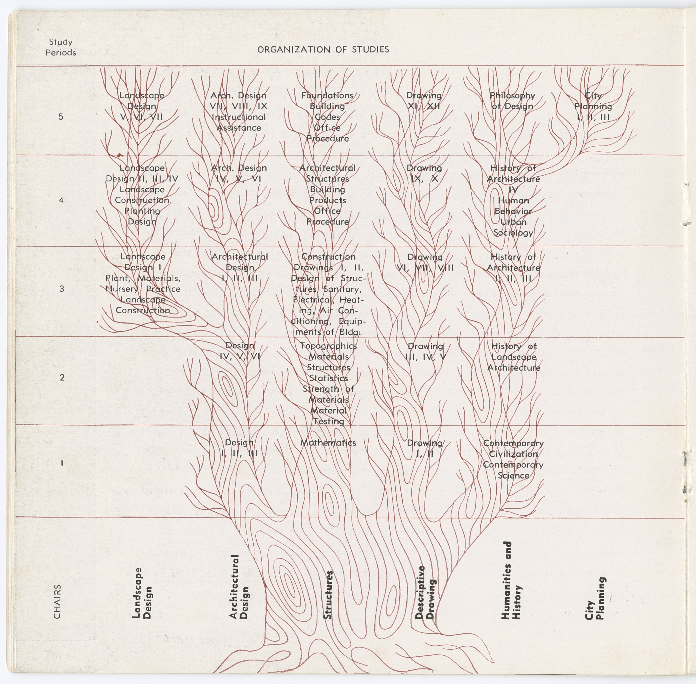 The Nowicki Curriculum Tree, 1949, created by faculty member Matthew Nowicki.