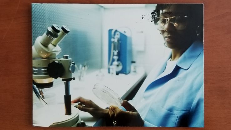 Clementine Zimmerman in Plant Pathology lab, circa 1990 (Box 58, Folder 2)
