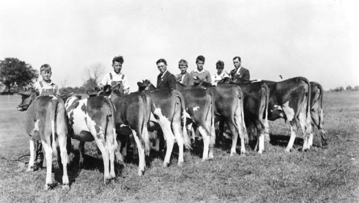 Buncombe County Guernsey Calf Club group attending the North Carolina State Fair, 1935