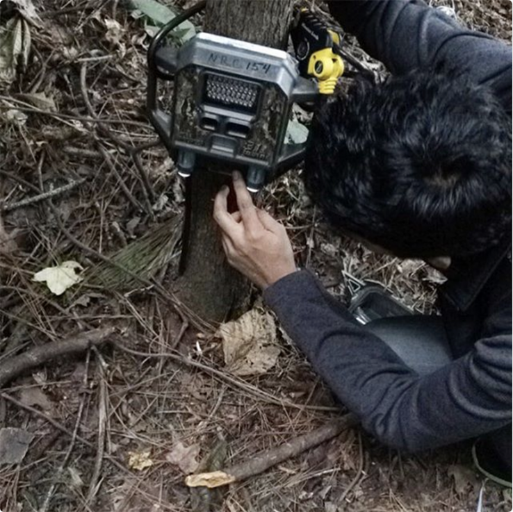 A participant setting up a camera trap