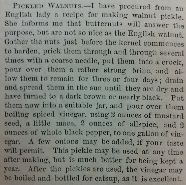 Pickled walnut recipe, American Agriculturist, June 1869, p. 221.