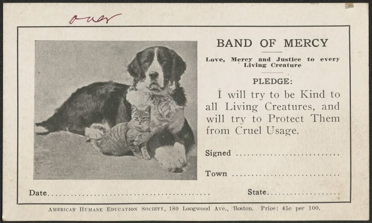“I will try to be kind to all living creatures, and will try to protect them from cruel usage.” The pledge for the Bands of Mercy, seen here on a membership card, embodies the ideals and aims of humane education.