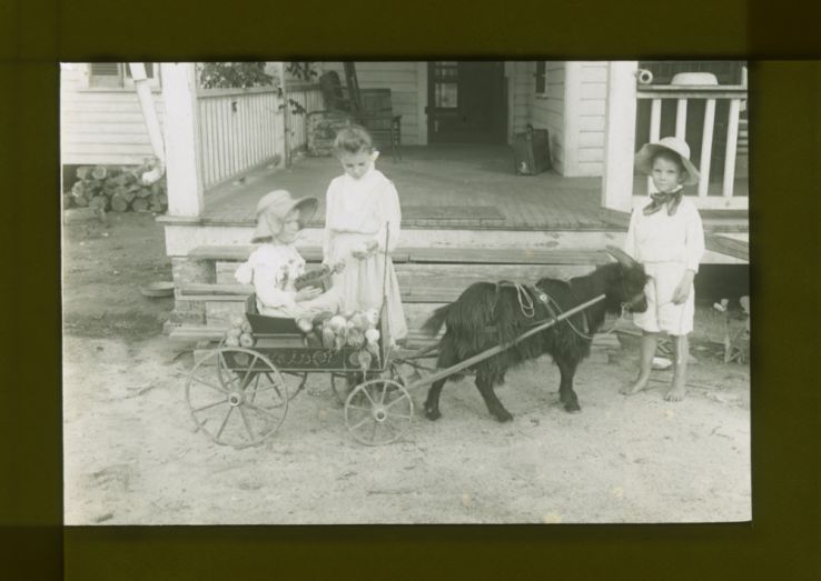 Children with fruit and vegetables in wagon, drawn by goat, circa 1910