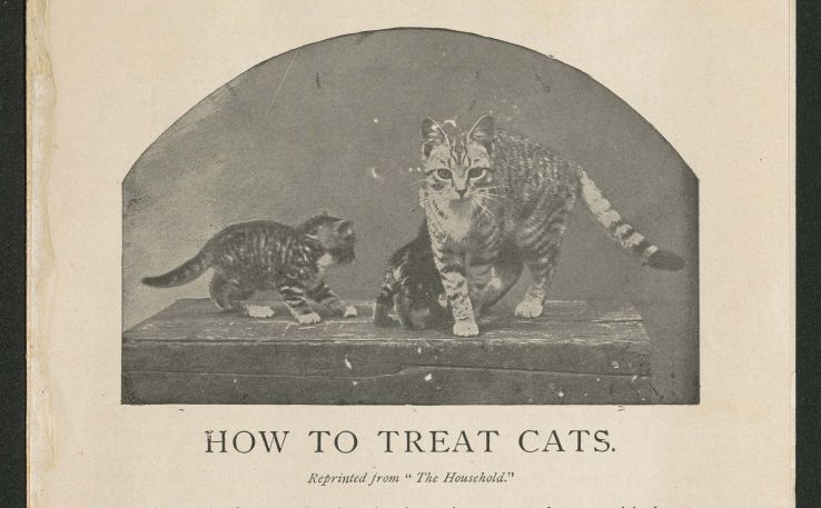 An image in "How to Treat Cats" from the John Ptak Collection of Animal Rights and Animal Welfare Printed Education Materials.