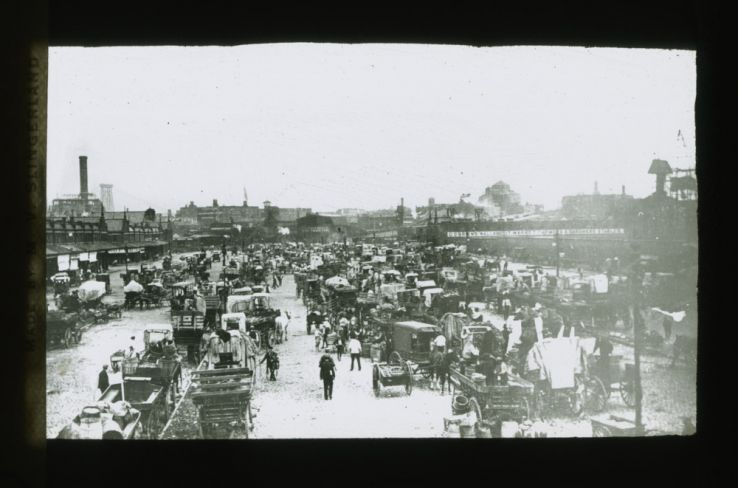 Busy market, including D. O'Brien's Wallabout Market Farmers & Gardners Stables