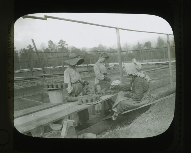 Women planting cucumber seeds into pots, circa 1900