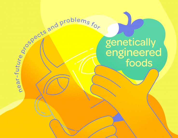 cartoon of person contemplating genetically engineered fruit