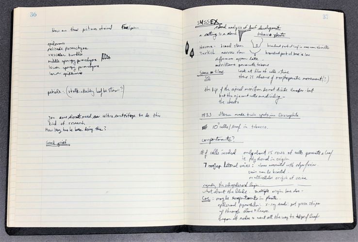 Research Notebook, 1981