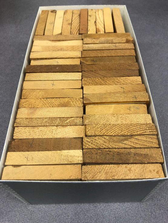 Wood samples, undated
