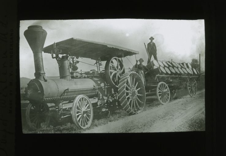 Steam-powered tractor hauling apples, circa 1900