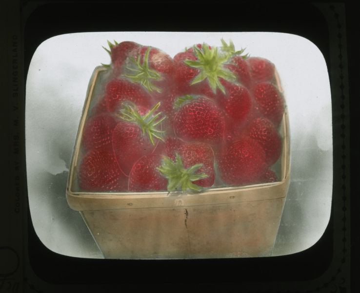 Basket of strawberries, colorized, circa 1910