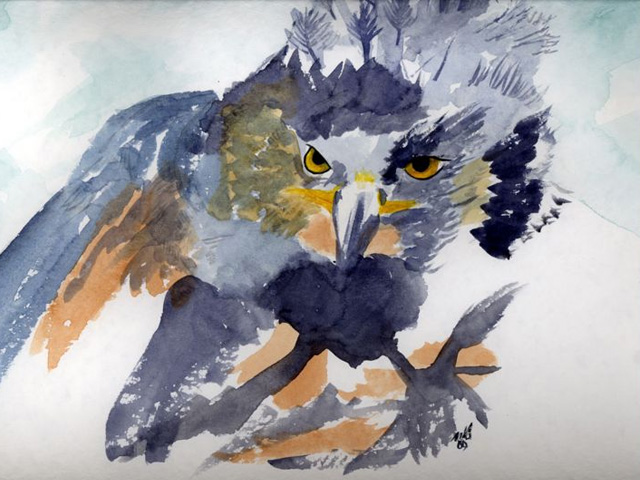 Watercolor painting of an owl